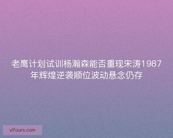 老鹰计划试训杨瀚森能否重现宋涛1987年辉煌逆袭顺位波动悬念仍存